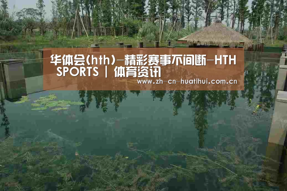 案例展示二(图1)
