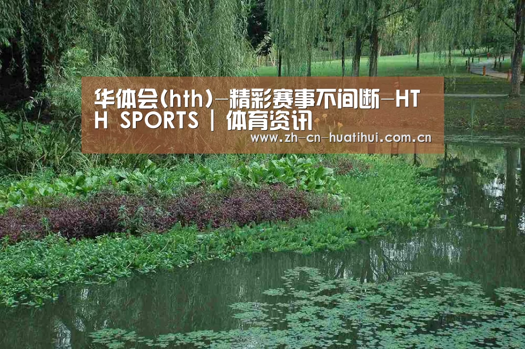 案例展示一(图1)