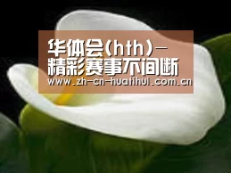 产品名称七