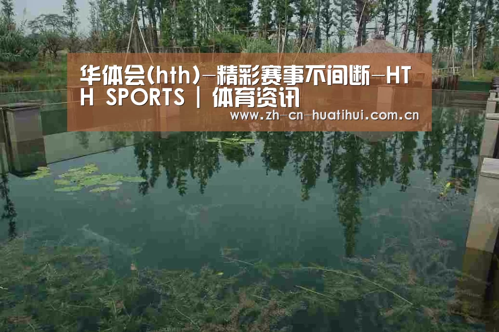 案例展示二