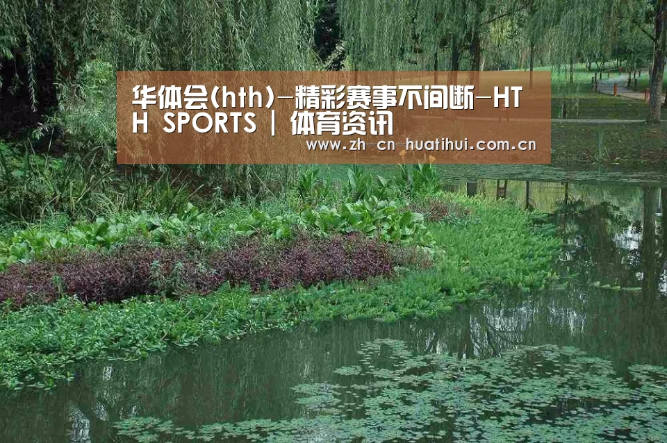 案例展示一