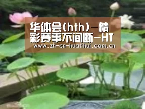 产品名称一