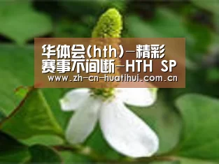 产品名称三