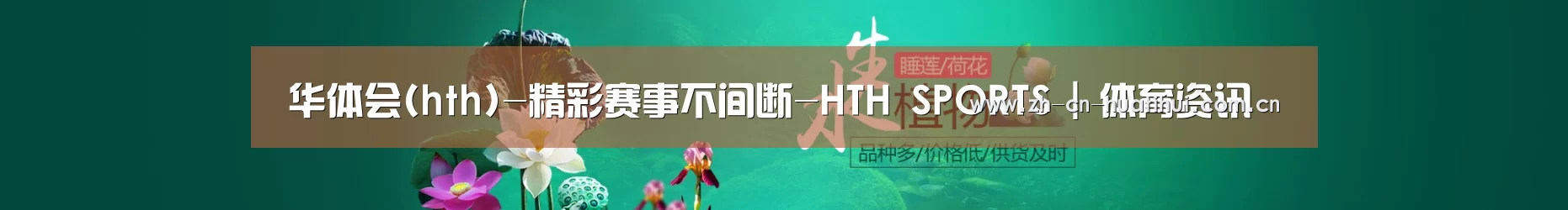 鲜花水草花卉网站模板