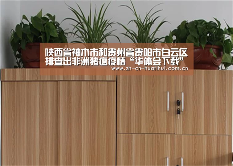 华体会官方网站入口